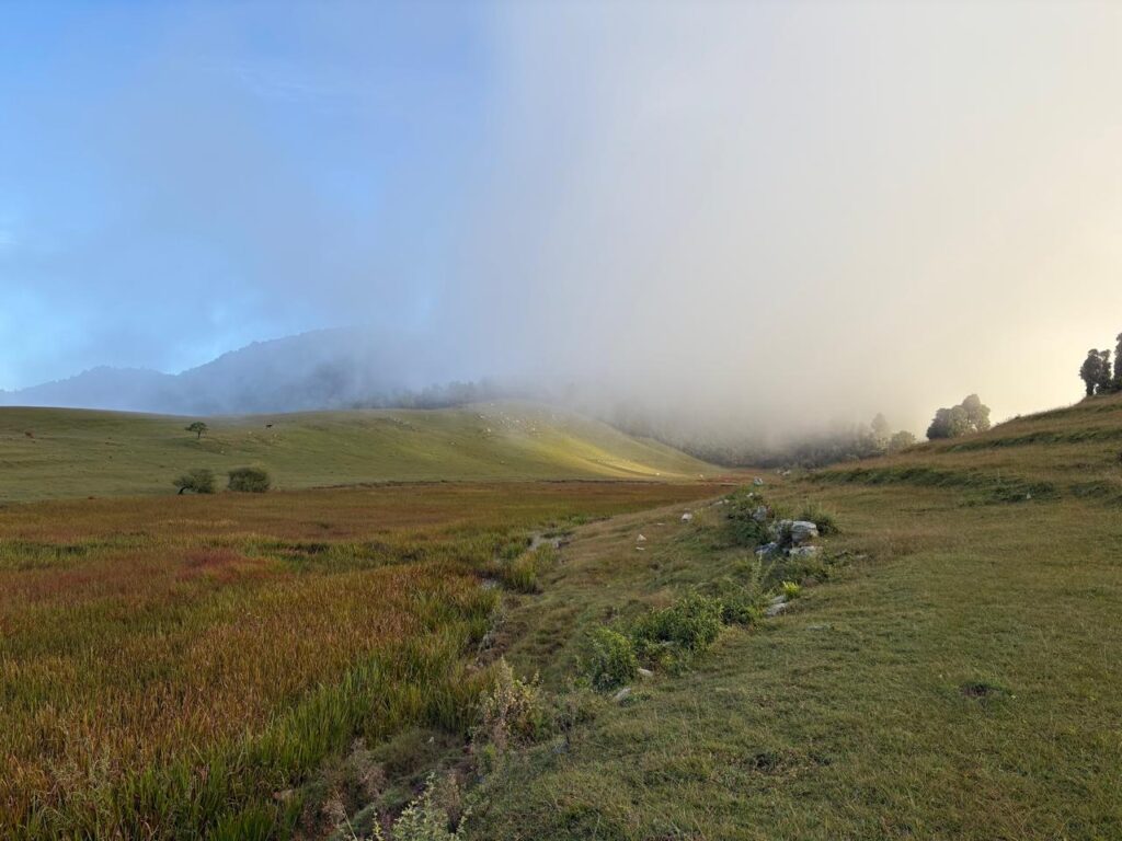 WhatsApp Image 2025-10-13 at 10.15.27