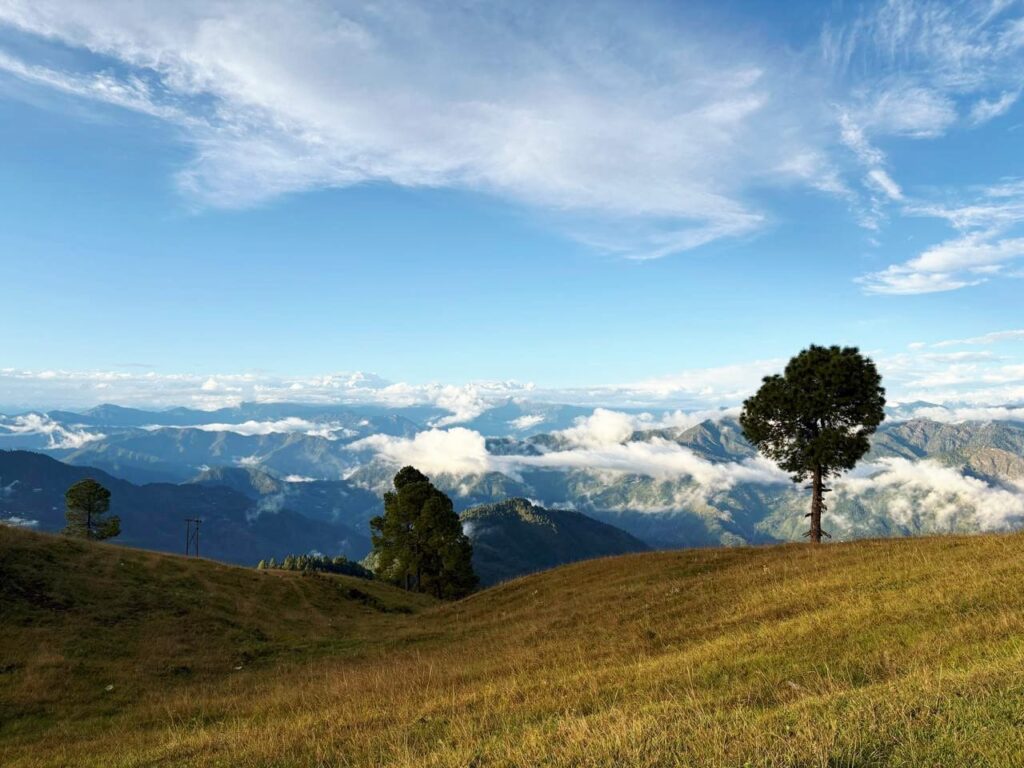 WhatsApp Image 2025-10-13 at 10.15.30